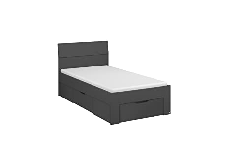 Rauch Möbel Flexx Bett Stauraumbett in Grau Metallic mit 2 Schubkästen als zusätzlichen Stauraum Liegefläche 90 x 200 cm Gesamtmaße Bett BxHxT 95 x 90 x 209 cm