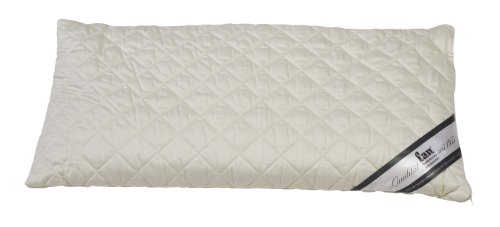 f.a.n. Frankenstolz 03880-11024-19 Dinkelkissen / Medisan Sleep & Care / 040 x 080 cm