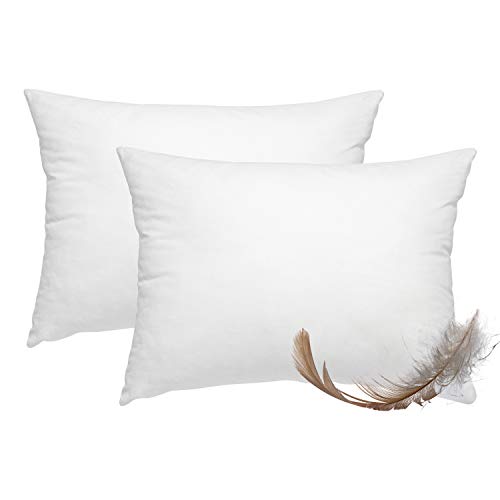 wometo 2er Set Federkissen 100% Federn 30x50-330g oekoTex Kissen Füllkissen Bezug Baumwolle weiß/Innenkissen/Kissenfüllung/kleine Kopfkissen (2 Stück)