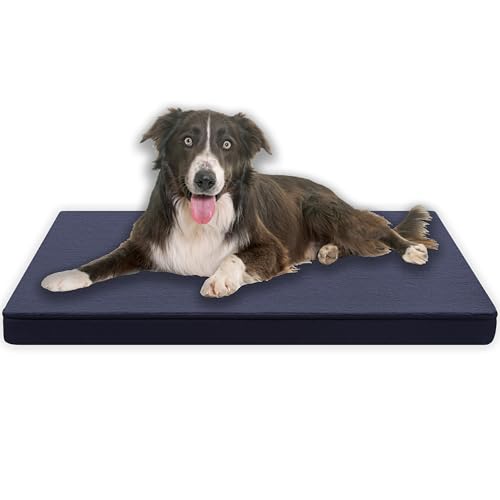 MyBestBuddy Hundekissen Premium orthopädisch mit 3 cm Vollschaum-Kern grau 70x50 cm M, Hundematte mit Stoffbezug, 40°C waschbar, allergikerfreundlich - Hundebett für kleine Hunde, 70 x 50 cm