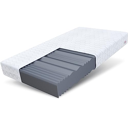 FDM Comfort Plus Schaumstoffmatratze 90x200 cm Höhe 10 cm 7-Liegezonen Matratze Kaltschaum H3 Öko-Tex Allergikergeeignet Bezug Waschbar Abnehmbar Weiß