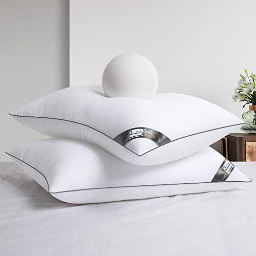 BedStory Nouvelle Collection – Kopfkissen 60 x 60 cm, 2 Stück, Hotelkissen, grau, mit Paspeln, luxuriöses Design, gefüllt mit hochwertiger Mikrofaser, sorgt für Ihren Schlaf