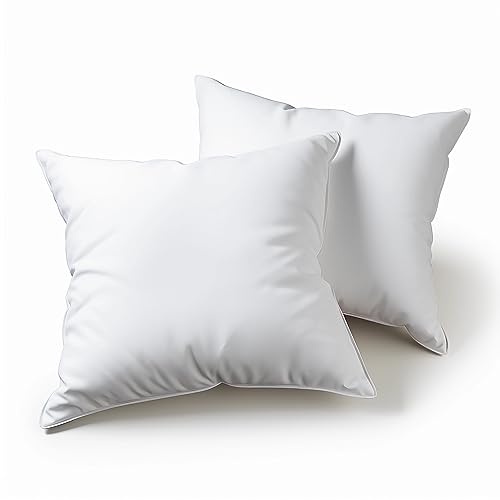 Flowen Kissen für Bett 65x65 cm Kopfkissen 2er Set Innenkissen Hypoallergene Anti-Milben Weiche Kissenfüllung mit Kissenbezug Mikrofaser Abnehmbarem und Waschbaren Schlafkissen für Haus/Hotel