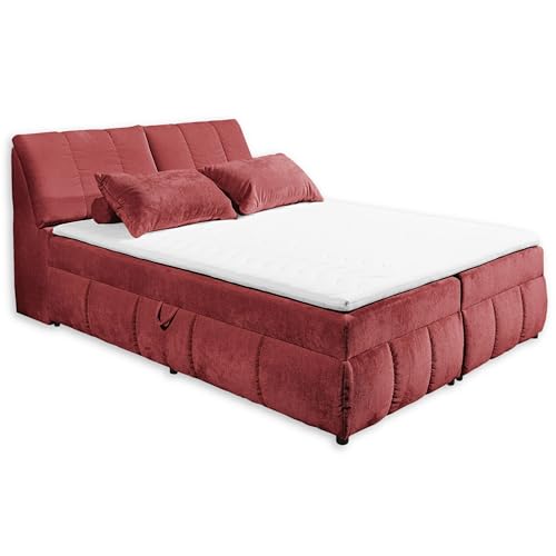 VALENCIA 5 Boxbett 180x200 in Chianti - Bequemes Doppelbett mit Bettkasten & Kaltschaum Topper - 183 x 105 x 240 cm (B/H/T)