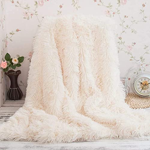 TIDWIACE Cremeweiß Kuscheldecke Flauschig 200 x 220 cm, Super Warme Decke, Hochwertige Wohndecke, Weich & Komfort Decke，Sofadecke,Fleecedecke,Tagesdecke für Bett Sofa Schlafzimmer