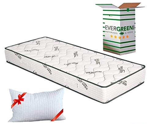 EVERGREENWEB Orthopädische Matratze 80x190 Höhe 20 cm + Visco Kissen GRATIS Kaltschaummatratze mit Aloe Vera Massageeffekt Atmungsaktiv Milbendicht Bezug für Lattenrost oder Bett