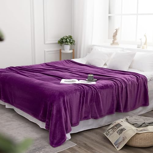 VOTOWN HOME Kuscheldecke Flauschige Decke Violett 220x240 cm, Warme Weiche Wohndecke für Bett Couch, Winter Sofadecke als Mikrofaser Bettüberwurf Tagesdecke