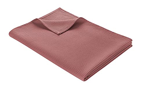 WOHNWOHL Tagesdecke 150 x 200 cm • Waffelpique leichte Sommerdecke aus 100% Baumwolle • Luftige Sofa-Decke vielseitig einsetzbar • Pflegeleichte Wohndecke • Baumwolldecke Farbe: Rosé