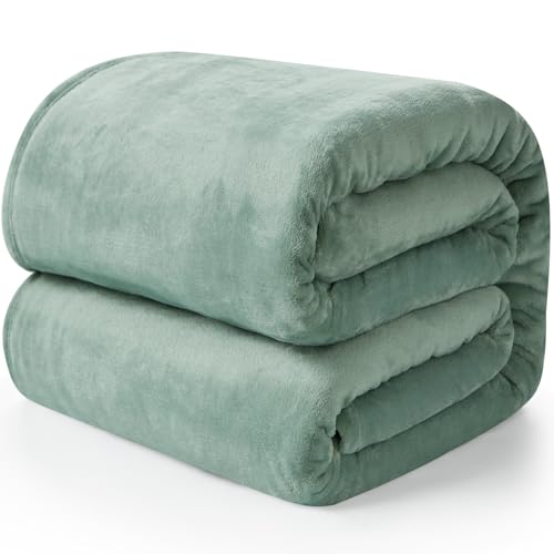 EHEYCIGA Kuscheldecke flauschig, weiche warme Fleecedecke 220x240 als Decke Sofa, Wohndecke oder Couchdecke überwurf, Grün