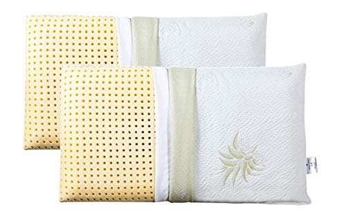 EVERGREENWEB Angebot! 2er Set Kissen 40x80 Hoch 9 cm 100% Memory Foam, Doppelbezug aus Aloe Vera und Baumwolle, herausnehmbar, für Halswirbelsäulenschmerzen, Medizinischem Gerät