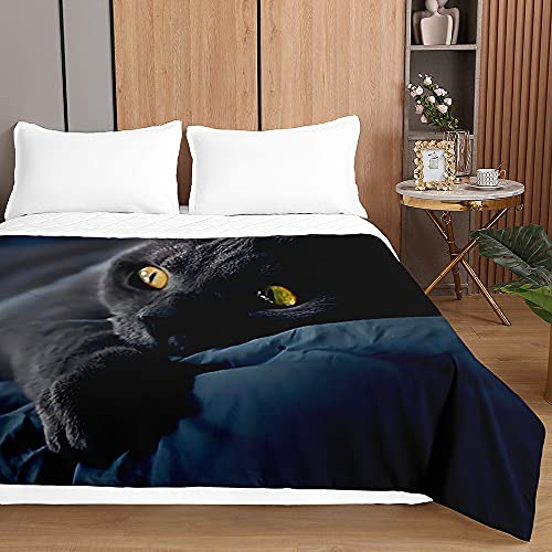 Chickwin Tagesdecken Bettüberwurf, 3D Katze Drucken Sommer Tagesdecke mit Prägemuster Wohndecke aus Mikrofaser Bettdecke für Einzelbett Doppelbett oder Kinder (Schwarze Katze,220x240cm)