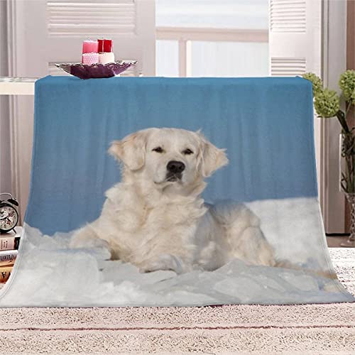 Kuscheldecke Flauschig Decke 80x150cm Beige, 3D Labrador Fleecedecke Weich Sofadecke Warm Bettdecke Decken Wohndecke Tagesdecke Schlafdecke Blankets Erwachsene Kinder Geschenk