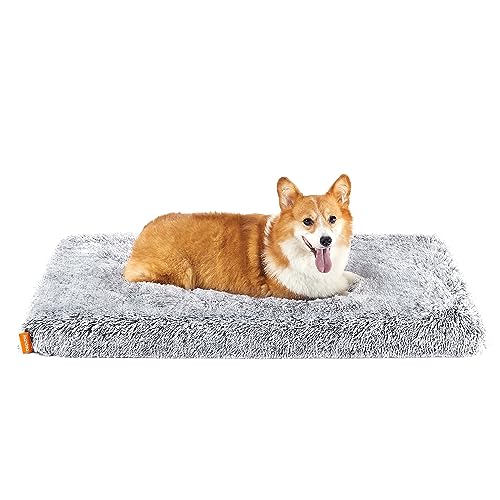 Feandrea Hundebett, orthopädisches Hundekissen, mit Noppenschaumstoff gepolstert, Bezug abnehmbar und waschbar, Größe L, für mittlere Hunde, 95 x 60 x 8 cm, Ombré-Grau PGW212G01