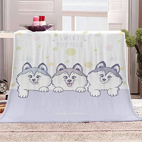 Graue DREI Kuscheldecke Flauschige 180x200, 3D Süßer Husky Fleecedecke Mikrofaser Sanft Flanell Weich Decke Sofaüberwurf Tagesdecke kinderdecke für Bett/Sofa