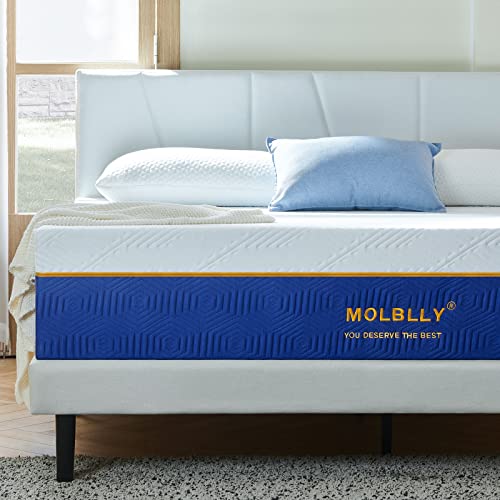 Molblly Matratze 140x200 Härtegrad H2 & H3 7 Zonen kaltschaummatratze Höhe 20 cm Komfortables Weißer Oberstoff & Blaues Seitentuch Anti-Kartell-Matratze rollmatratze 140 x 200