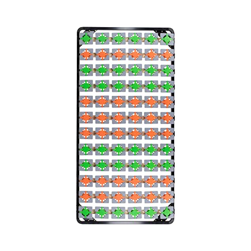 i-flair Tellerlattenrost 100x200 cm, Lattenrahmen Ergo IF57 mit Tellerfedern - für alle Matratzen und Betten geeignet
