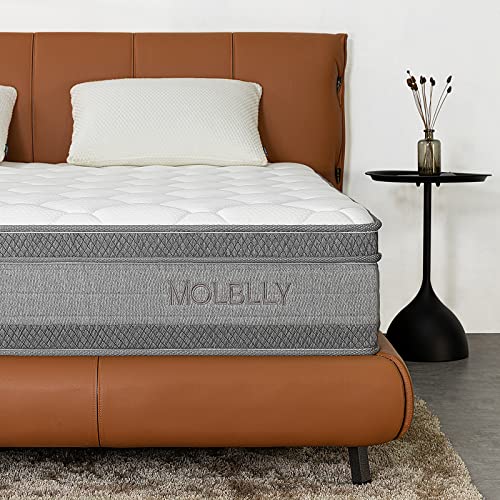 Molblly Matratze 160x200 cm 7-Zonen Höhe 25cm Härtegrad H3 Federkernmatratze Öko-Tex Zertifiziert Orthopädische Taschenfederkernmatratz mit Schaumstoff und Microfaser-Bezug 160x200 cm